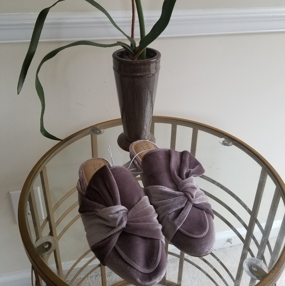 NWT Velvet Mules